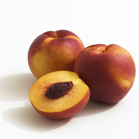 Nectarine Fantasia Nectarine Fantasia
