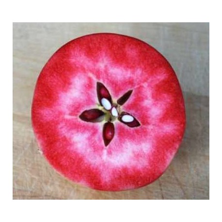 Pommier Surfleet sour (Chair rouge) Pommier Surfleet sour (Chair rouge)