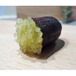 Citron caviar 'Emerald'