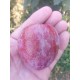 Prunier Coeur d'éléphant (Elephant heart)