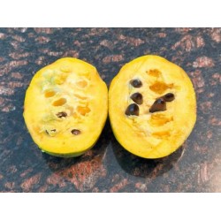 Asiminier (PAWPAW) Overleese