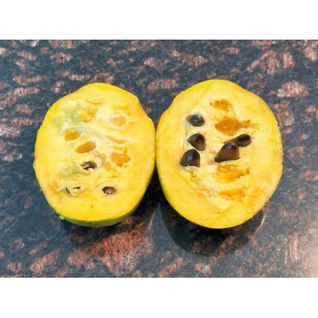 Asiminier (PAWPAW) Overleese Asiminier (PAWPAW) Overleese