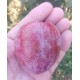 Pluot Flavor suprem