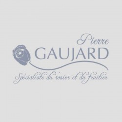 CADEAU OFFERT (la plante du jour )